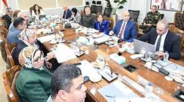 بتمويل 95 مليار جنيه.. وزيرة الإسكان تعلن حصيلة المستفيدين من وحدات محدودي الدخل